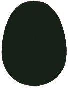 Ether is the black egg