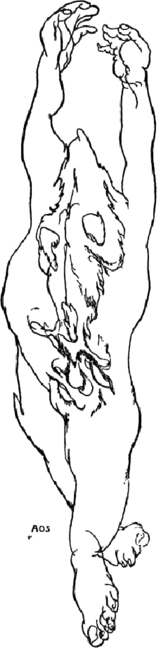 This is a drawing by Austin Osman Spare of an anthropomorphic figure with a leaping wolf inside. There is a distorted face beneath the wolf, at about the position of the hip or genitalia.